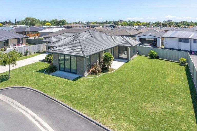 Photo of property in 12 Astor Avenue, Dinsdale, Hamilton, 3204