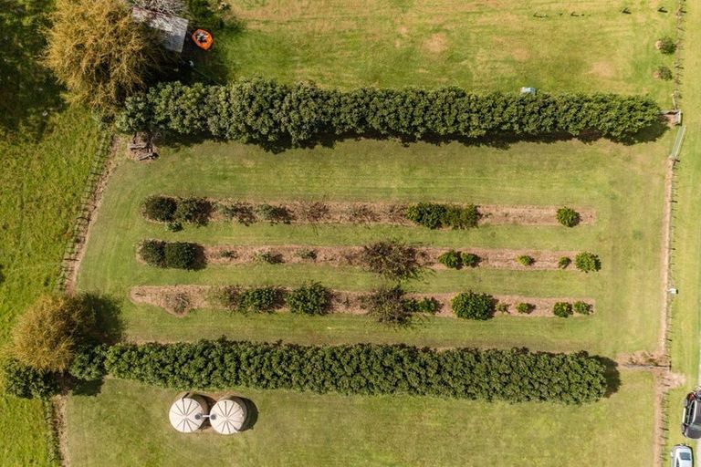 Photo of property in 145b Ness Road, Waipapa, 0295