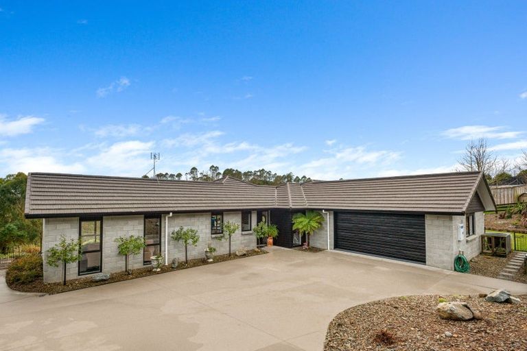 Photo of property in 31 Wildwood Lane, Matamata, 3472