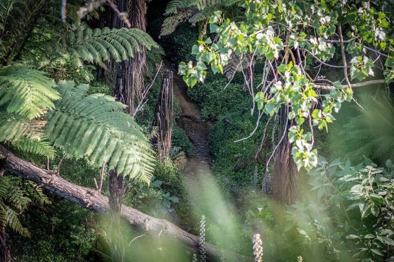 Photo of property in 111 Kingsley Street, Leamington, Cambridge, 3432