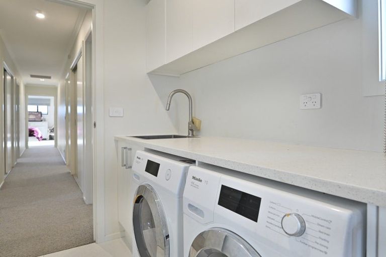 Photo of property in 31 Lochhead Street, Mahora, Hastings, 4120