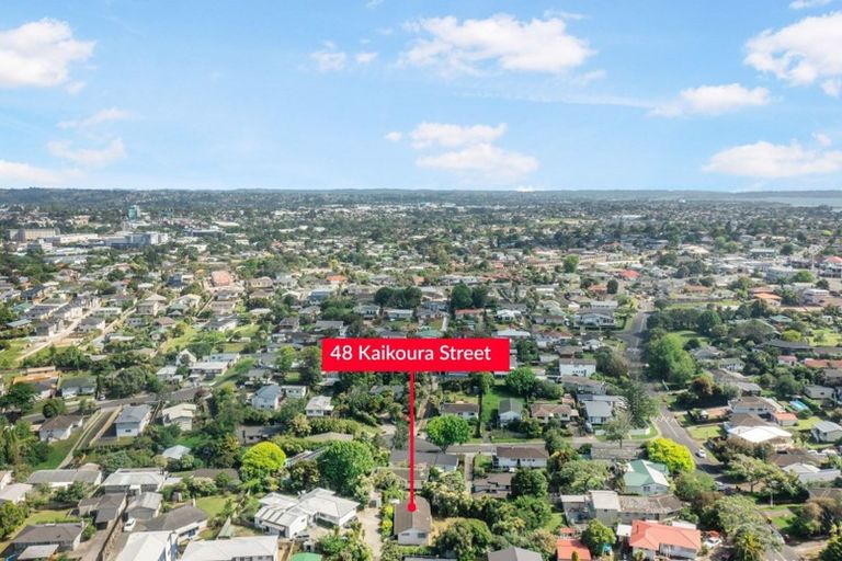 Photo of property in 48 Kaikoura Street, Henderson, Auckland, 0612
