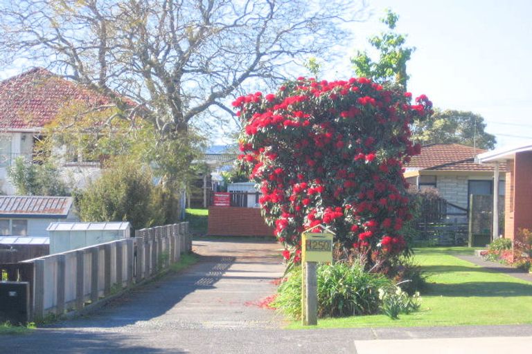 Photo of property in 1250 Cameron Road, Gate Pa, Tauranga, 3112