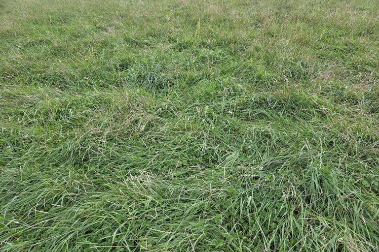 Photo of property in 16 Northbrook Road, Rangiora, 7400