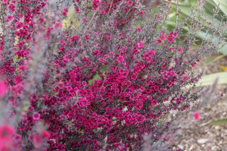 Photo of property in 463 Fordyce Road, Helensville, 0874