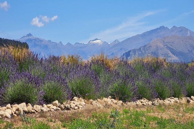 Photo of property in 217 Stevenson Road, Wanaka, 9382