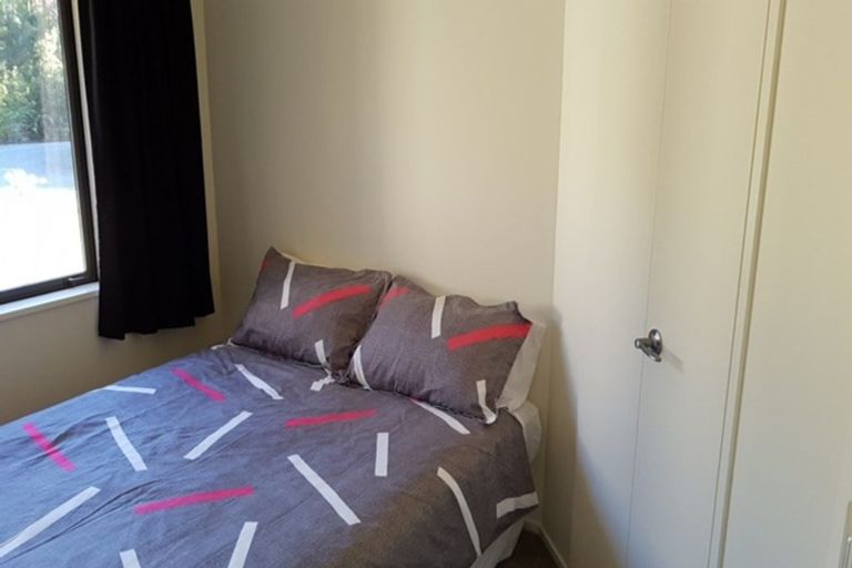 Photo of property in 15 Sanctuary Place, Kumara Junction, Hokitika, 7882