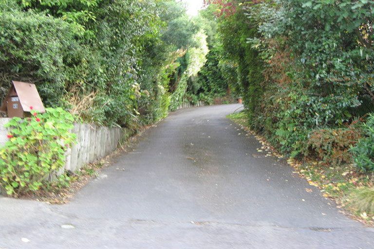 Photo of property in 49 Tweed Street, Roslyn, Dunedin, 9010