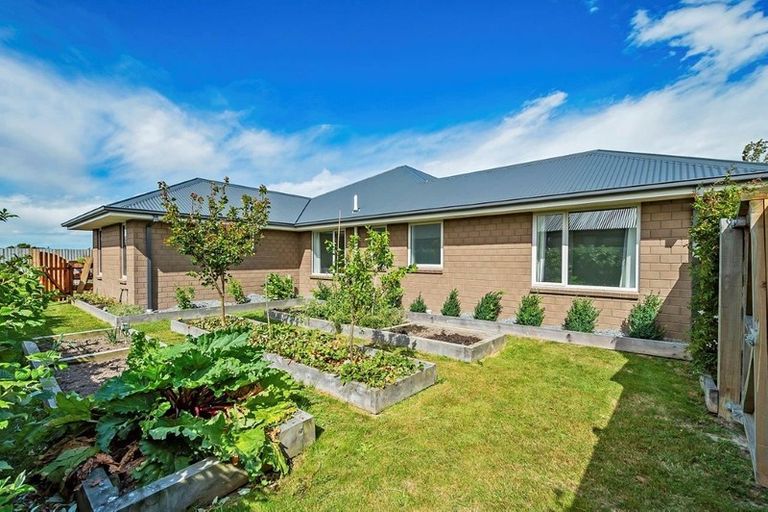 Photo of property in 79 Clausen Avenue, Leeston, 7632