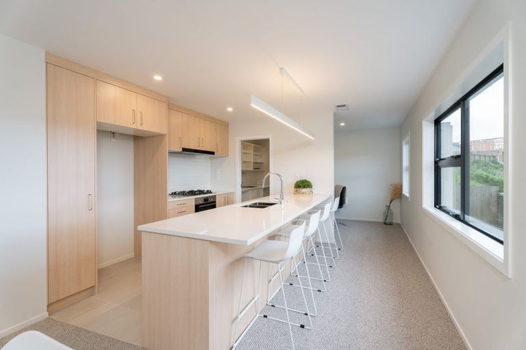 Photo of property in 50 Farnworth Terrace, Glenside, Wellington, 6037