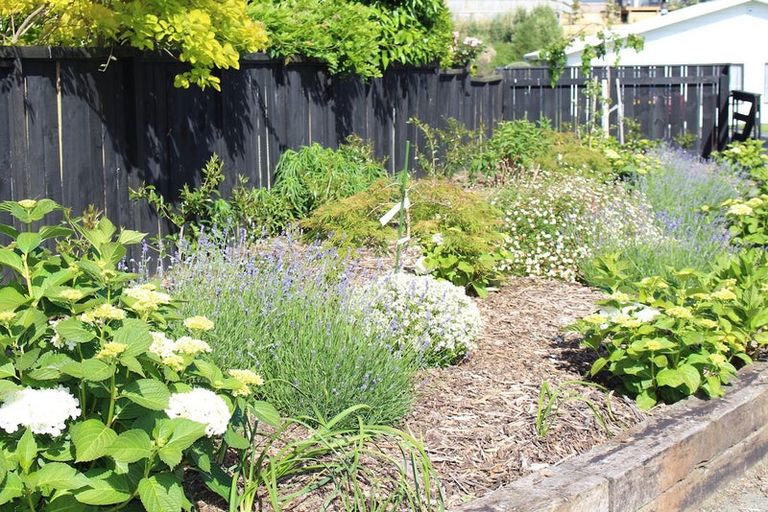 Photo of property in 121 Alexander Road, Raumati Beach, Paraparaumu, 5032