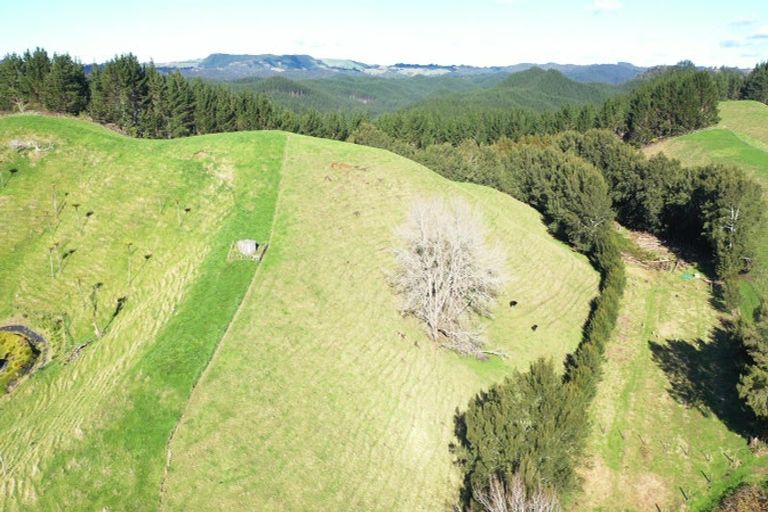 Photo of property in 809 Pikowai Road, Pikowai, Whakatane, 3194