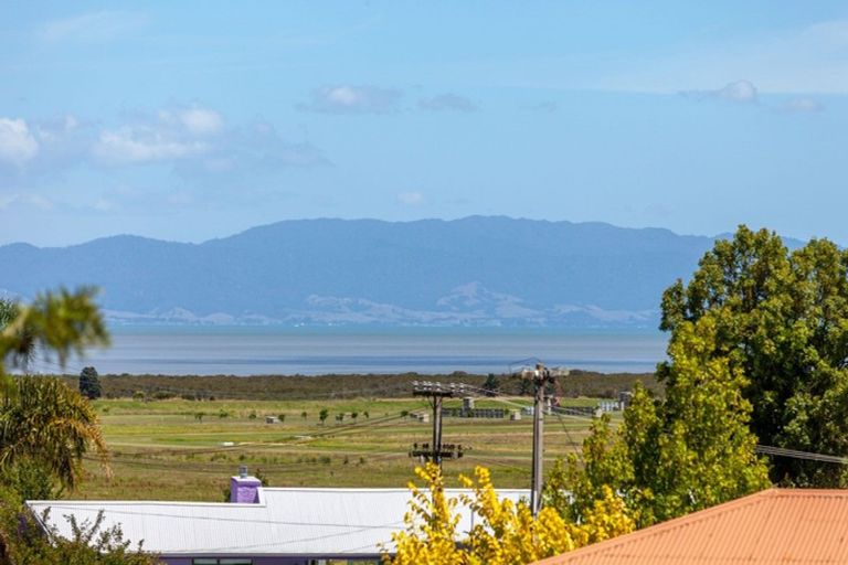 Photo of property in 213 Tony Avenue, Thames, 3500