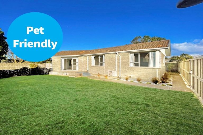 Photo of property in 135a Pine Avenue, South New Brighton, Christchurch, 8062