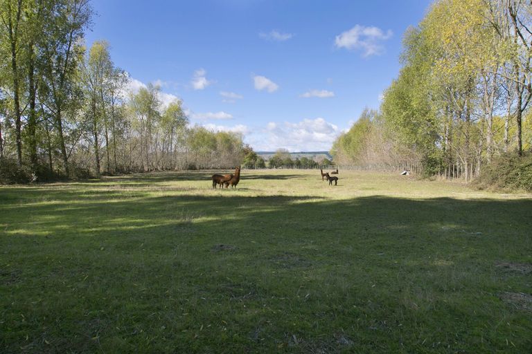 Photo of property in 1729 River Road, Broadlands, Reporoa, 3081