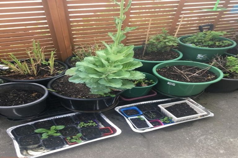 Photo of property in 3/39b Middleton Road, Upper Riccarton, Christchurch, 8041