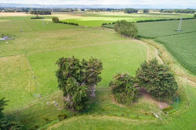 Photo of property in 226 Waughs Road, Bunnythorpe, Feilding, 4775