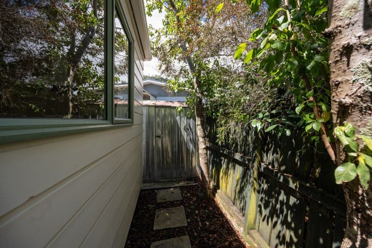 Photo of property in 141b Tipahi Street, Nelson South, Nelson, 7010