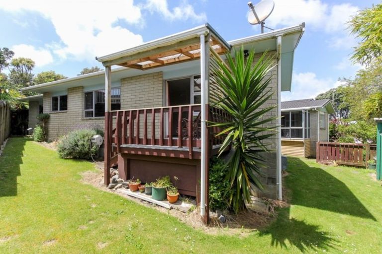 Photo of property in 1/4 Calvert Road, Moturoa, New Plymouth, 4310