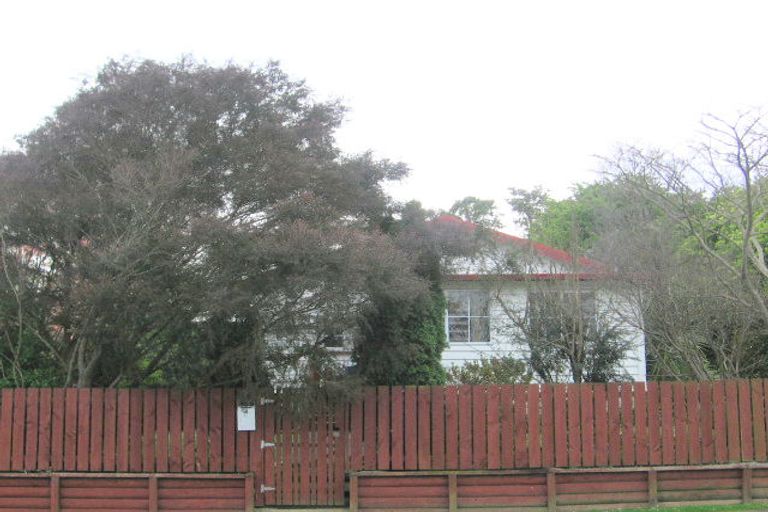 Photo of property in 14 Sain Crescent, Morrinsville, 3300