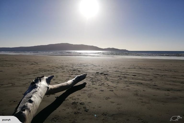 Photo of property in 163 Tutere Street, Waikanae Beach, Waikanae, 5036