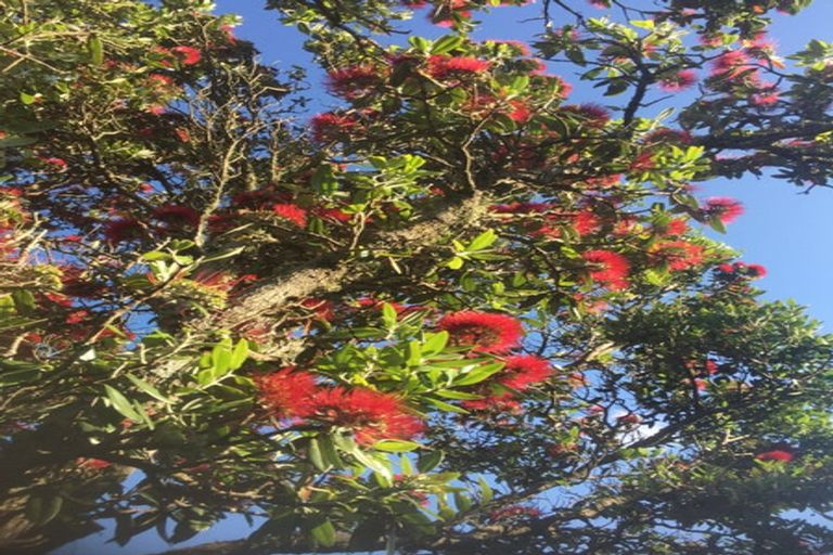 Photo of property in 99 Kaikoura Street, Maupuia, Wellington, 6022