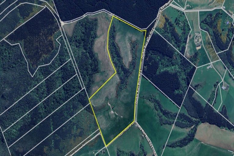 Photo of property in 205 Otokia-kuri Bush Road East, Kuri Bush, Dunedin, 9091