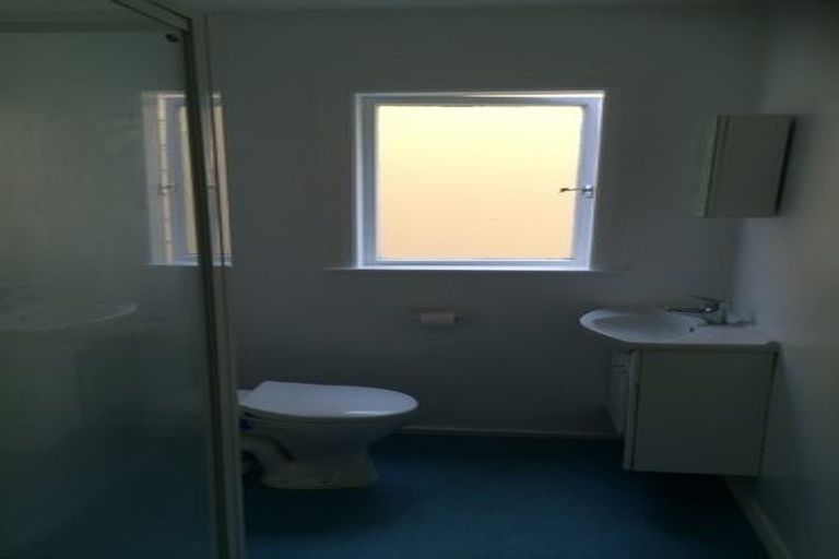 Photo of property in 43 Honiana Te Puni Street, Aro Valley, Wellington, 6021