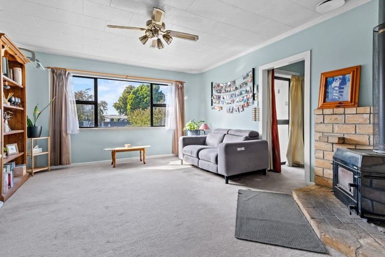 Photo of property in 10 Burden Street, Redwoodtown, Blenheim, 7201