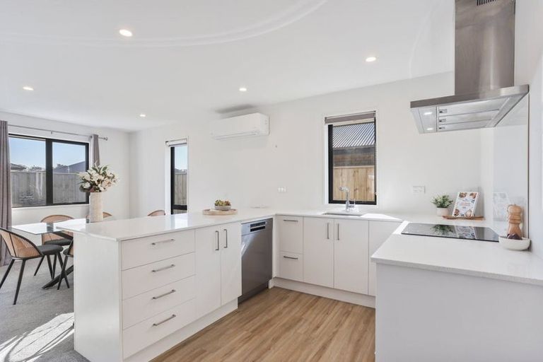 Photo of property in 21 Herridge Street, Woodend, 7610