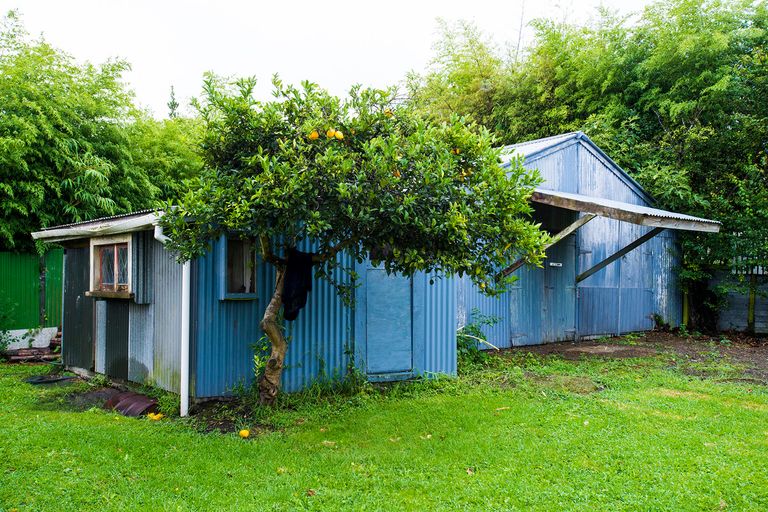 Photo of property in 12 Devery Street, Mangapapa, Gisborne, 4010