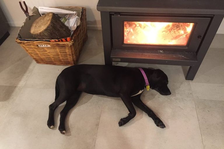 Photo of property in 109 Mimiha Ridge Road, Matata, Whakatane, 3194