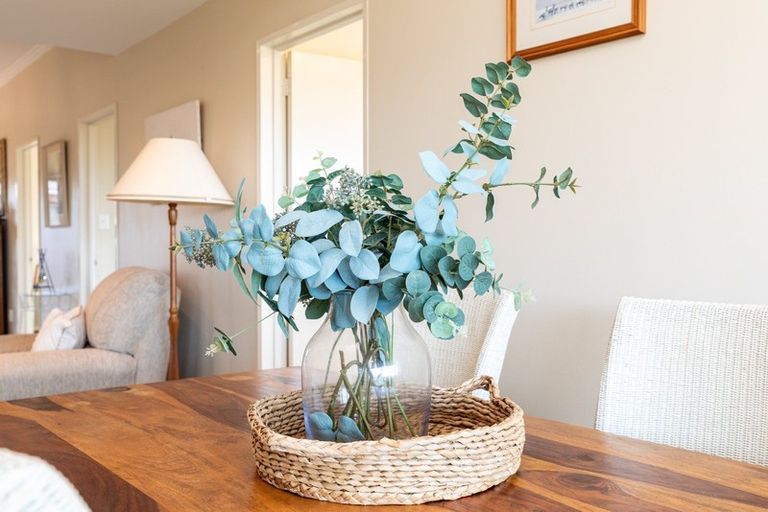 Photo of property in 49 Pillans Road, Otumoetai, Tauranga, 3110