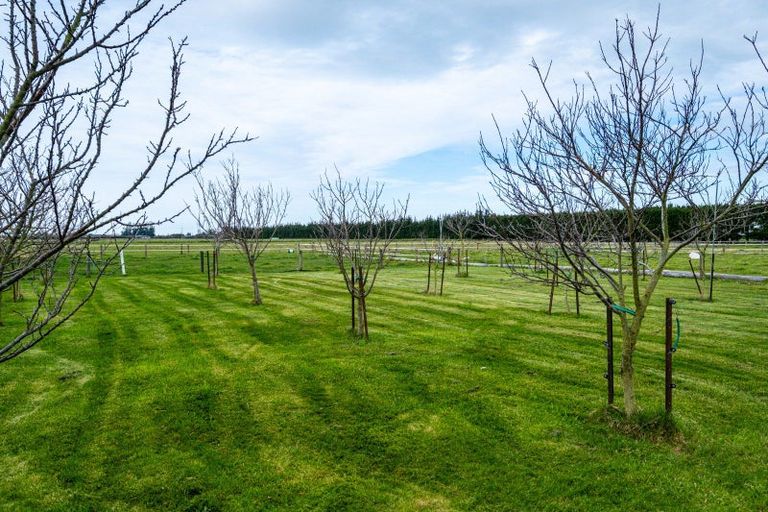 Photo of property in 513 Grahams Road, Huntingdon, Ashburton, 7774