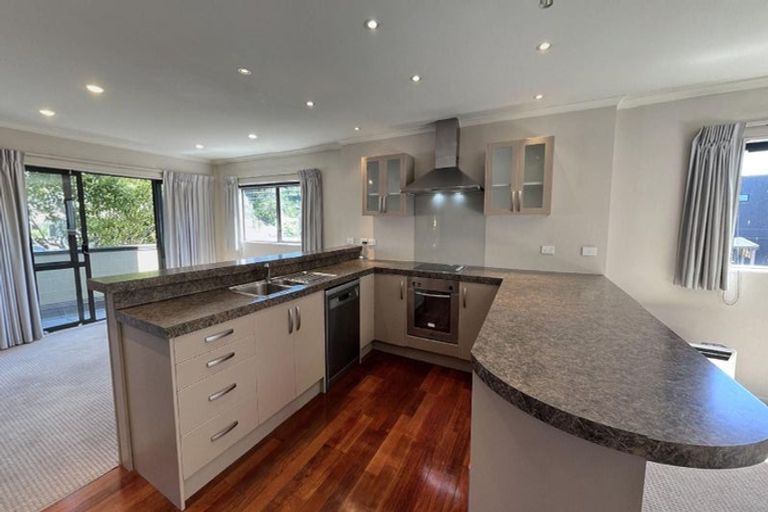 Photo of property in Te Kakariki Apartments, 1/1 Wellington Road, Paekakariki, 5034
