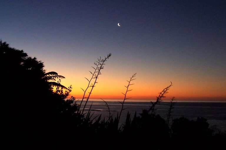 Photo of property in 8313 State Highway 35, Whanarua Bay, Te Kaha, 3199