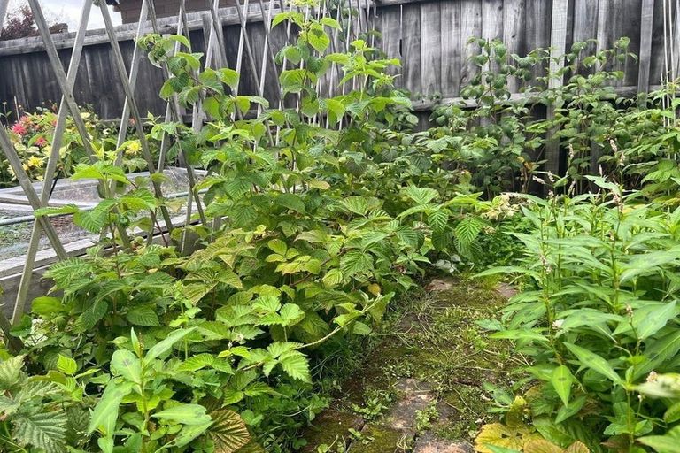 Photo of property in 15 Bunting Place, Woodend, 7610