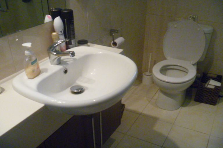 Photo of property in 32a Larch Crescent, Alexandra, 9320