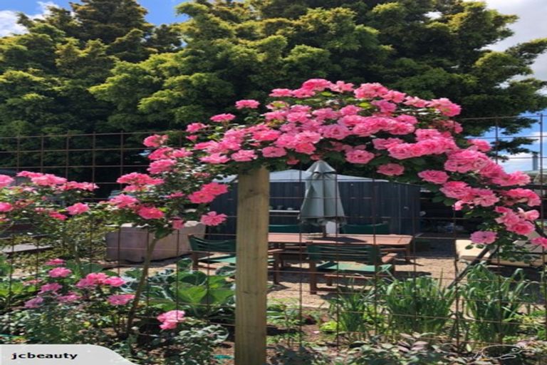 Photo of property in 86 Haerehuka Street, Otorohanga, 3900