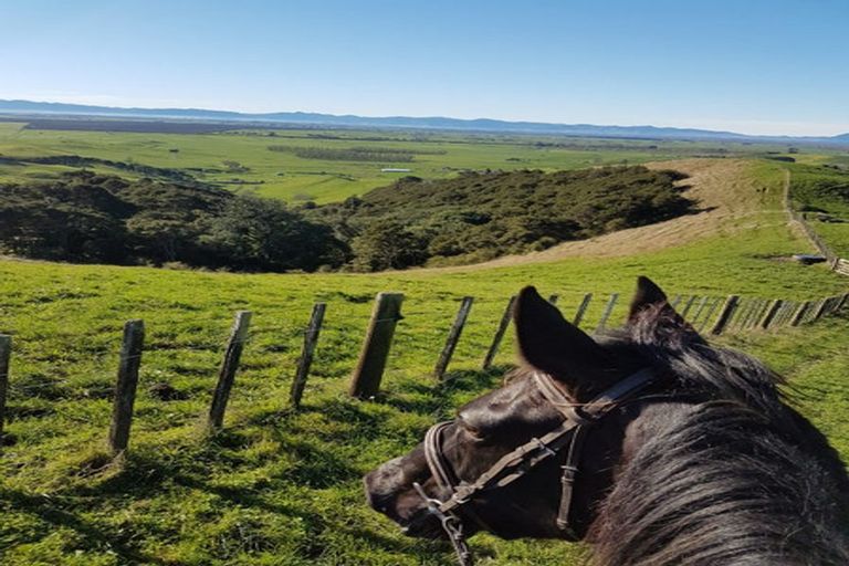 Photo of property in 149b Torehape Road, Kaihere, Ngatea, 3597