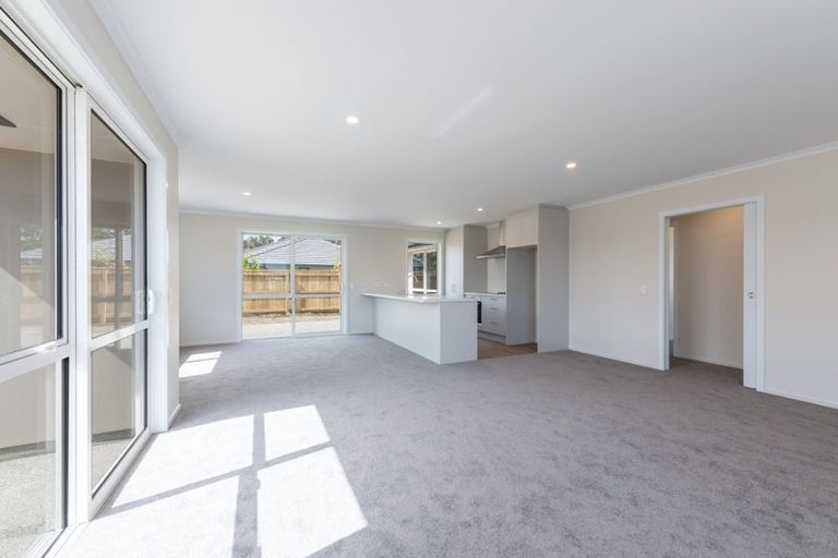 Photo of property in 17 Camberley Road, Richmond, 7020