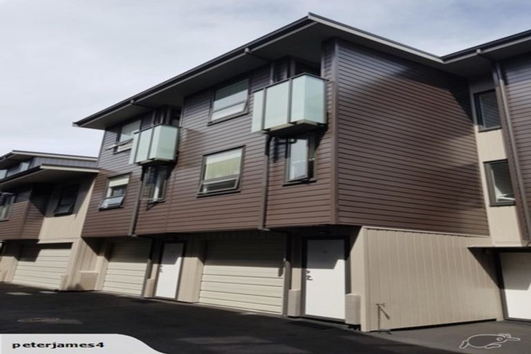 Photo of property in 56 Harold Street, Mount Eden, Auckland, 1024