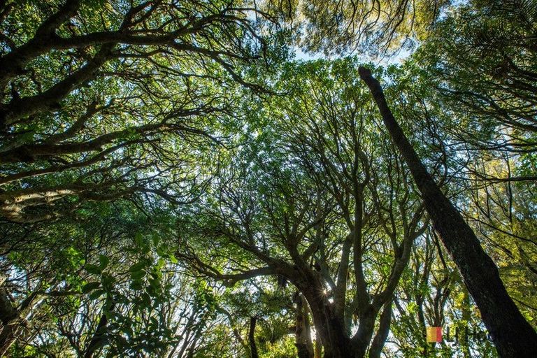 Photo of property in 166b Heard Road, Waihi, 3681