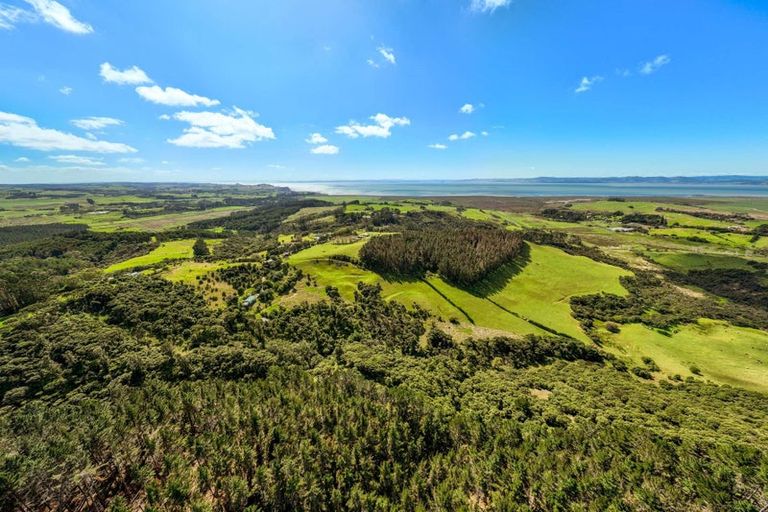 Photo of property in 169 Mcleod Road, South Head, Helensville, 0874