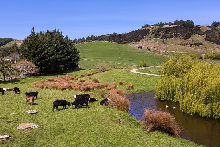 Photo of property in 247 Main South Road, East Taieri, Mosgiel, 9092