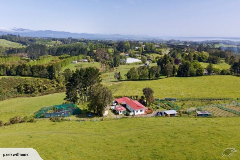 Photo of property in 137 Ross Road, Whakamarama, Tauranga, 3179