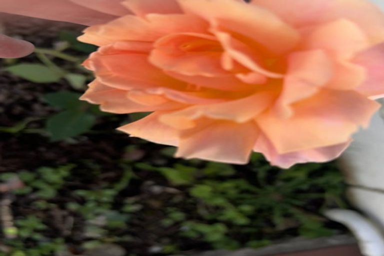 Photo of property in 1/3 Brown Street, Hauraki, Auckland, 0622