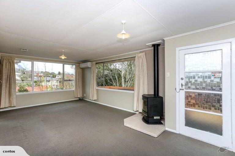 Photo of property in 6 Sycamore Grove, Lower Vogeltown, New Plymouth, 4310