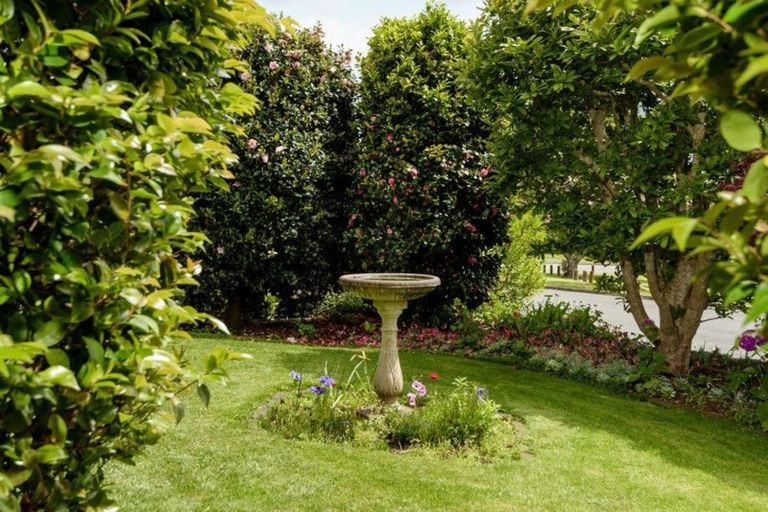 Photo of property in 17 Fenton Terrace, Te Puke, 3119