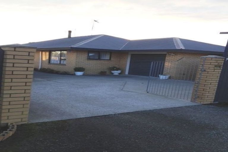 Photo of property in 91 Michael Street, Rakaia, 7710